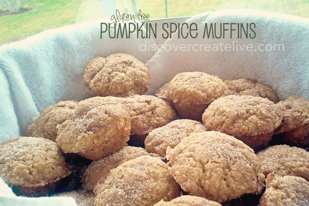 Gluten Free Pumpkin Spice Mini Muffins
