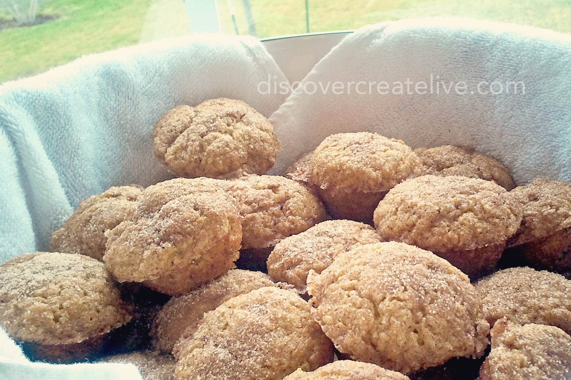 Gluten Free Pumpkin Spice Muffins