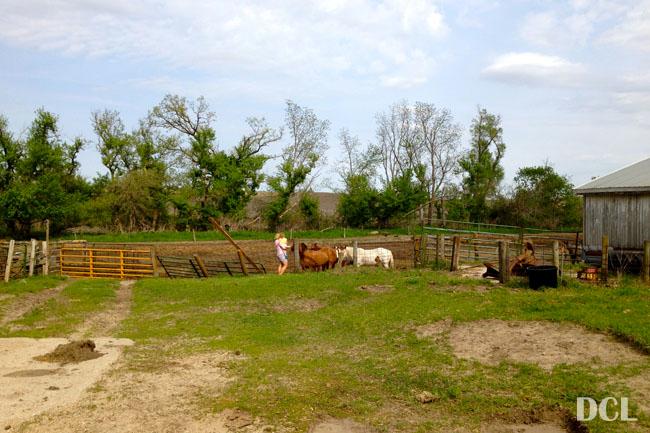 Visiting the old farm