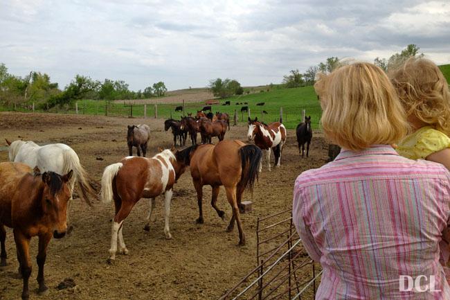 Visiting the old farm
