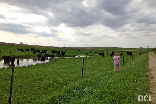 Visiting the old farm